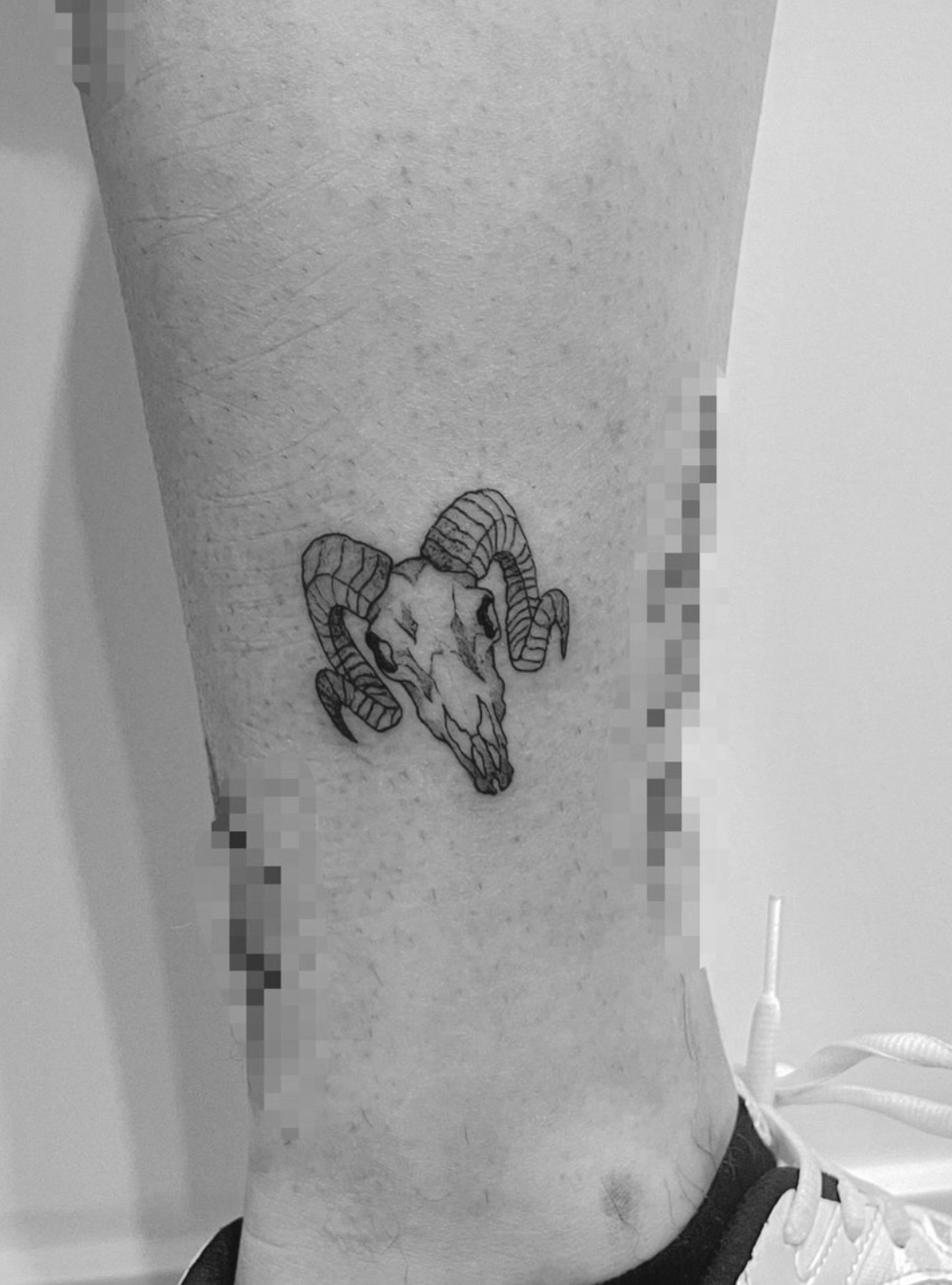 Tatuaje fineline calavera de carnero